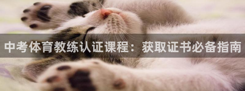 焦点娱乐违法吗：中考体育教练认证课程：获取证书必备指