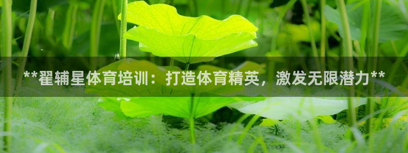 焦点娱乐有限公司怎么样：**翟辅星体育培训：打造体育