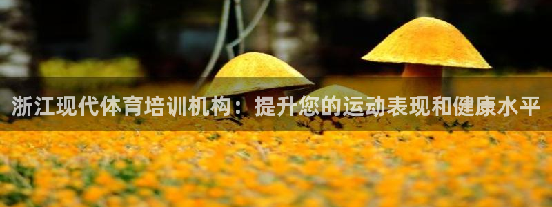 焦点娱乐平台是正规的吗安全吗：浙江现代体育培训机构：