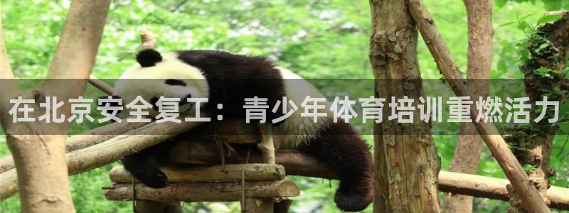 焦点娱乐怎么找：在北京安全复工：青少年体育培训重燃活