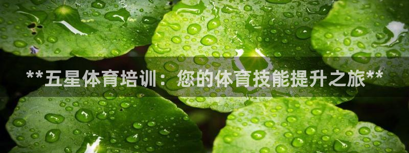 焦点娱乐游戏：**五星体育培训：您的体育技能提升之旅