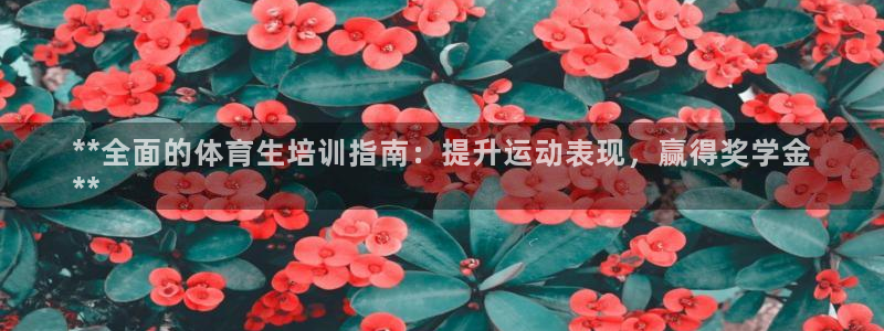 焦点娱乐平台注册账号怎么注销：**全面的体育生培训指