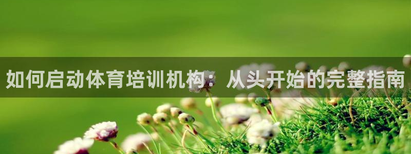 焦点娱乐平台注册账号安全吗可靠吗：如何启动体育培训机