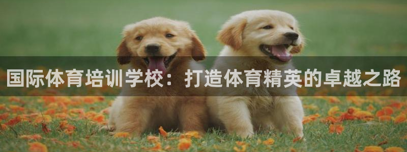 焦点娱乐平台账号在哪注册的：国际体育培训学校：打造体