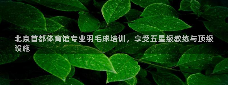焦点娱乐是什么：北京首都体育馆专业羽毛球培训，享受五