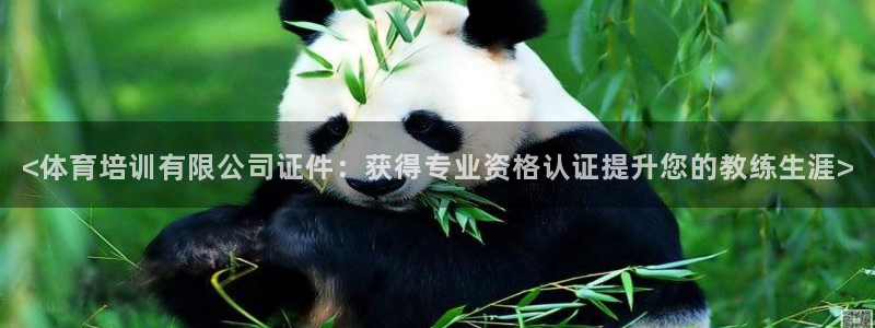 焦点娱乐官方网站下载安装最新版：<体育培训有限公司证
