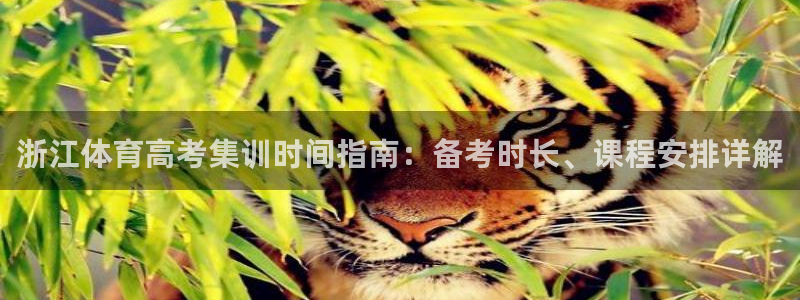 焦点娱乐平台西7O777