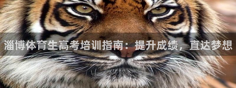 焦点娱乐app下载苹果版官网：淄博体育生高考培训指南