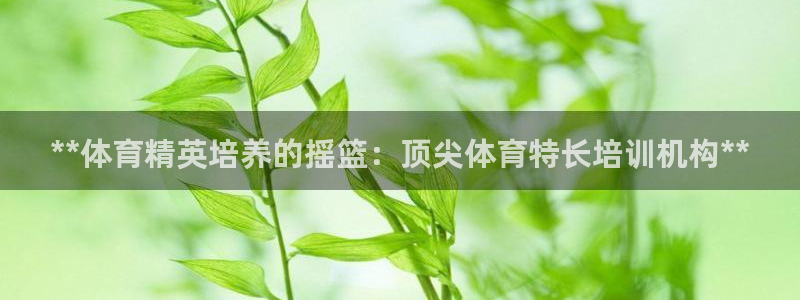 焦点娱乐加速器下载：**体育精英培养的摇篮：顶尖体育