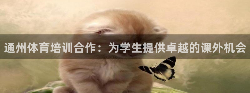 焦点娱乐平台怎么样知乎：通州体育培训合作：为学生提供
