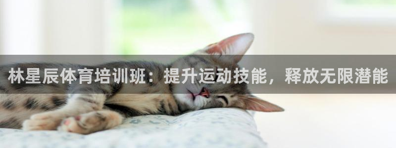焦点娱乐公司是干嘛的：林星辰体育培训班：提升运动技能