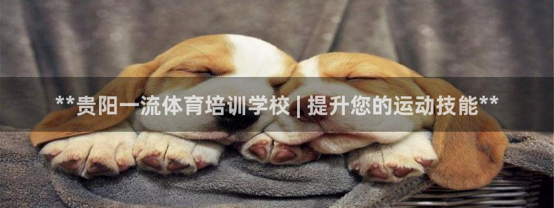 焦点娱乐传媒有限公司怎么样知乎招聘：**贵阳一流体育