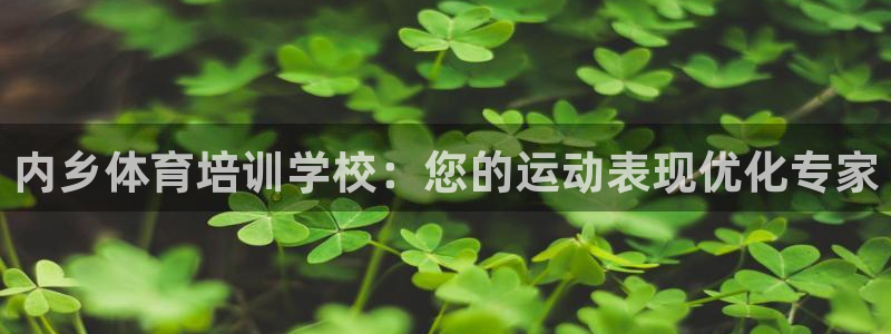 焦点娱乐传媒有限公司是干嘛的啊：内乡体育培训学校：您