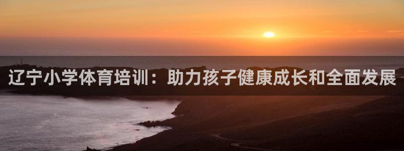 焦点娱乐总代理在哪：辽宁小学体育培训：助力孩子健康成