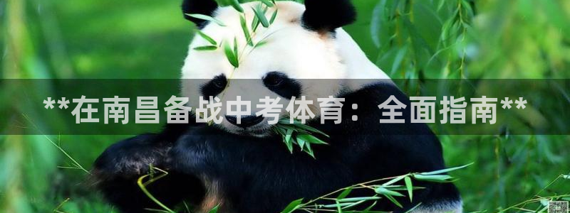 焦点娱乐平台新7O777