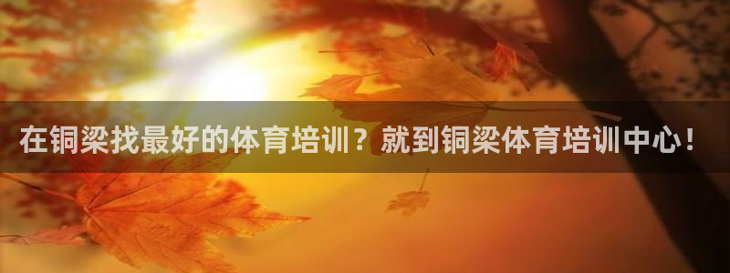 焦点娱乐ktv：在铜梁找最好的体育培训？就到铜梁体育