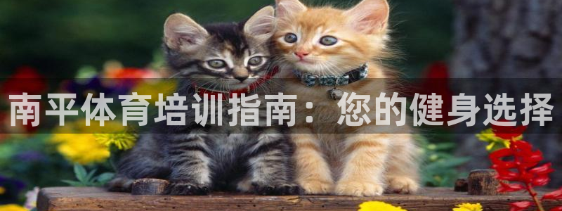 焦点娱乐是哪个公司的：南平体育培训指南：您的健身选择