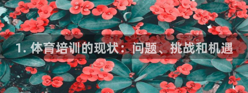 焦点娱乐平台总代理开户怎么样啊：1. 体育培训的现状