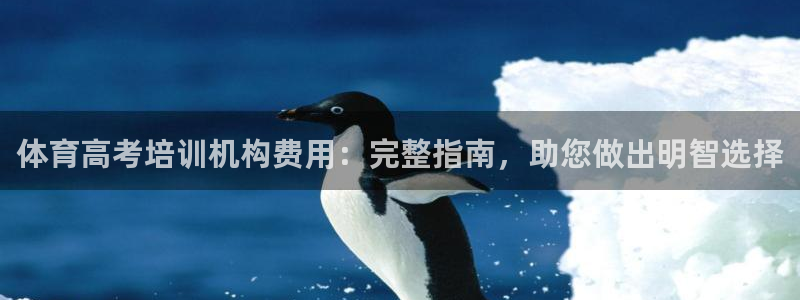 焦点娱乐星的视频：体育高考培训机构费用：完整指南，助