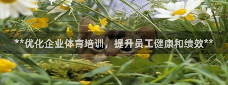 焦点娱乐公司：**优化企业体育培训，提升员工健康和绩