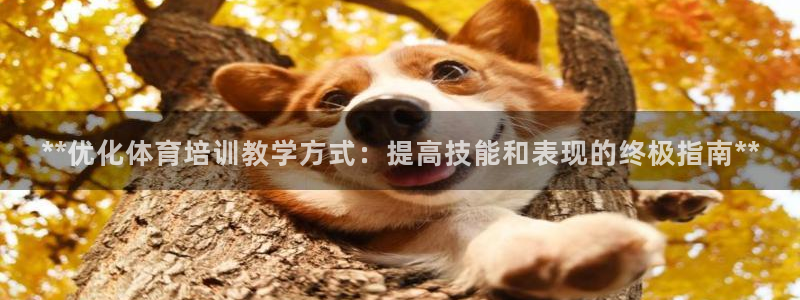 焦点娱乐官网首页入口：**优化体育培训教学方式：提高