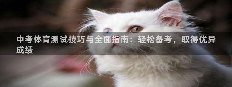 焦点娱乐官网首页入口网址：中考体育测试技巧与全面指南