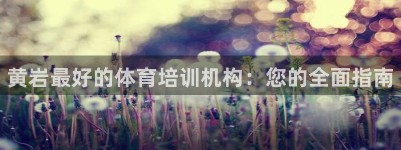 焦点娱乐是哪个公司的软件：黄岩最好的体育培训机构：您