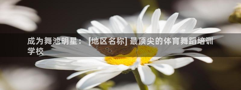 焦点娱乐官方网站入口下载安装：成为舞池明星： [地区