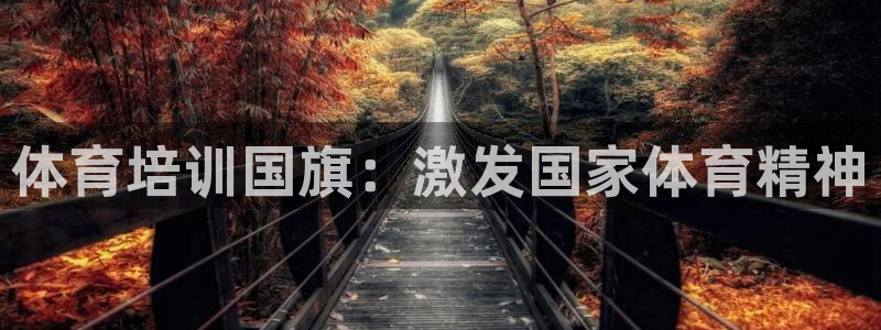 焦点娱乐平台供7O777：体育培训国旗：激发国家体育