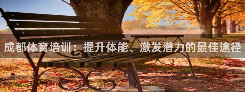 焦点娱乐平台登录不了：成都体育培训：提升体能、激发潜