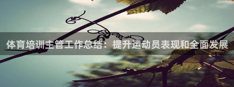 焦点娱乐官网下载安装手机版：体育培训主管工作总结：提