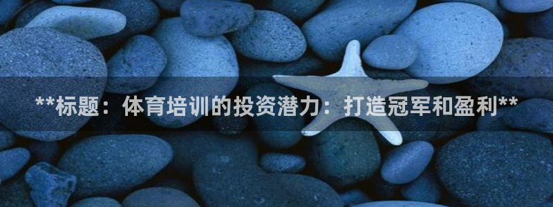 焦点娱乐总代理是谁：**标题：体育培训的投资潜力：打