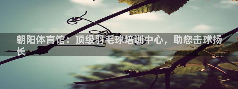 焦点娱乐平台客服：朝阳体育馆：顶级羽毛球培训中心，助