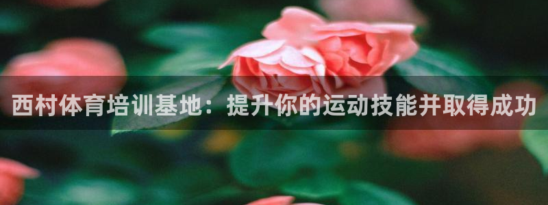 焦点娱乐平台续7O777：西村体育培训基地：提升你的