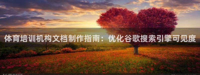 焦点娱乐官网首页：体育培训机构文档制作指南：优化谷歌