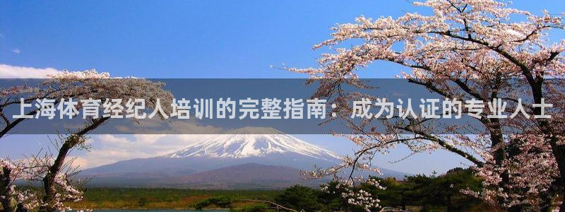 焦点娱乐加速器下载安卓：上海体育经纪人培训的完整指南