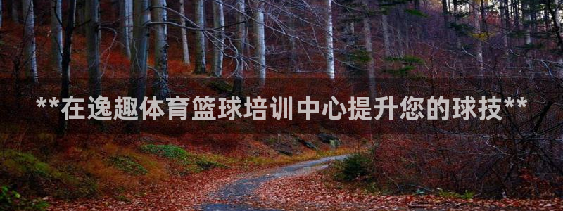 焦点娱乐股东持股比例：**在逸趣体育篮球培训中心提升