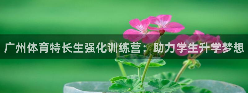 焦点娱乐平台主管：广州体育特长生强化训练营：助力学生