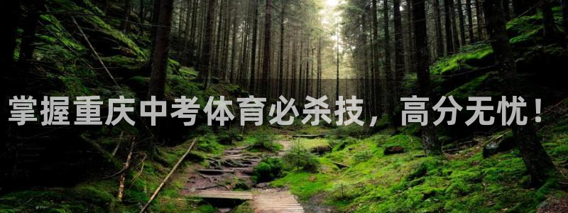 焦点娱乐违法吗：掌握重庆中考体育必杀技，高分无忧！