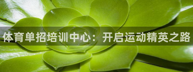 焦点娱乐平台登录不了怎么办：体育单招培训中心：开启运