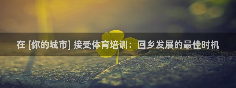 焦点娱乐简七O935最新版本更新内容