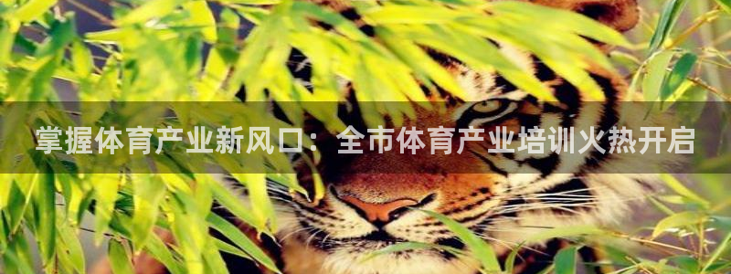 焦点娱乐平台底7O777：掌握体育产业新风口：全市体