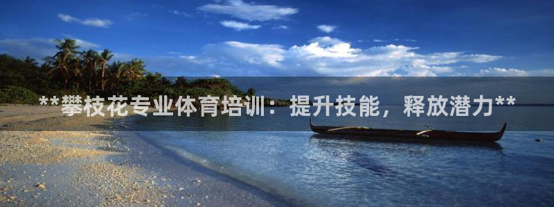 焦点娱乐软件版本下载：**攀枝花专业体育培训：提升技