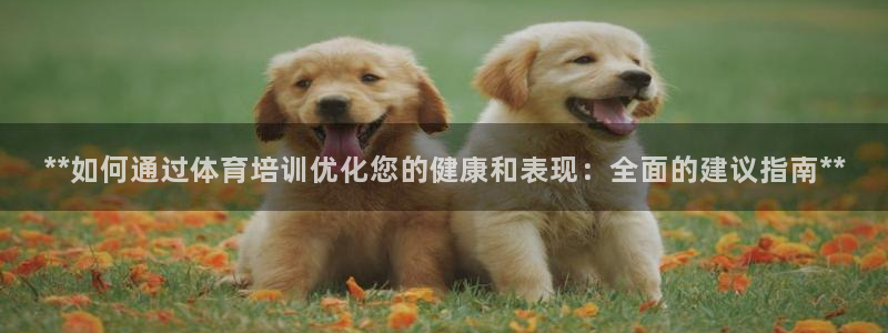 焦点娱乐传媒有限公司官网：**如何通过体育培训优化您