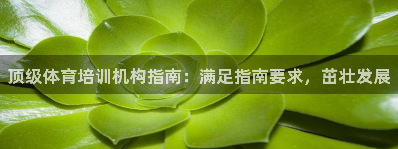 焦点娱乐官网下载安装：顶级体育培训机构指南：满足指南