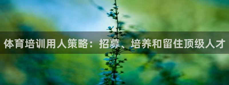 焦点娱乐拉菲11