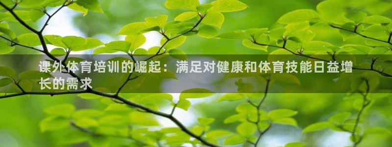焦点娱乐vs皇族不败神话：课外体育培训的崛起：满足对