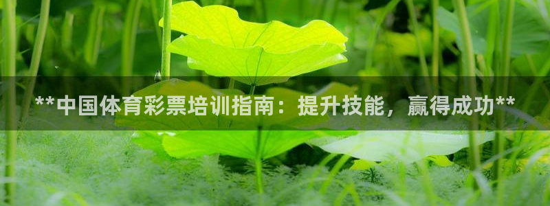 焦点娱乐总代理是谁：**中国体育彩票培训指南：提升技