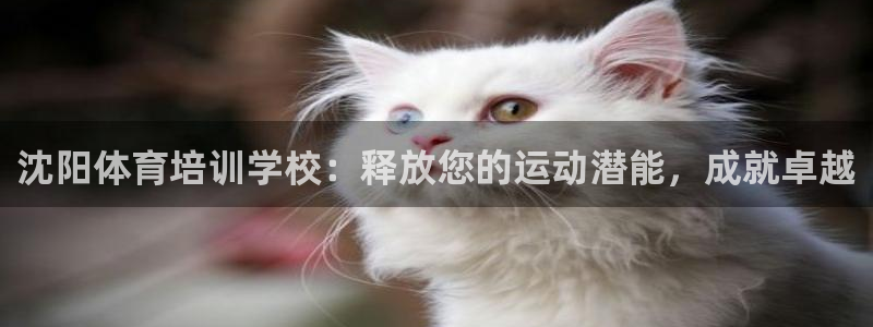 焦点娱乐如何注册账号登录：沈阳体育培训学校：释放您的