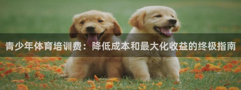 焦点娱乐官方网站首页入口下载：青少年体育培训费：降低